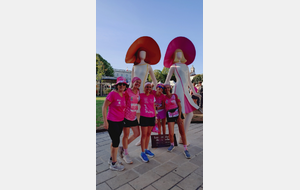 Octobre rose Rochefort 2026